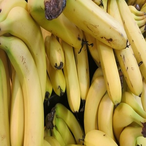 Plátanos verdes orgánicos frescos cultivados en granja y listos para exportación de fruta natural de plátanos maduros - Product Image 2