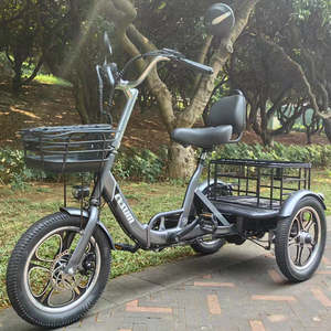 Triciclo eléctrico de carga plegable con tracción trasera de 48V y 350W, neumático de 16 pulgadas, velocidad máxima de 25 km/h, triciclo eléctrico de acero, ambos estilos abiertos y cerrados disponibles - Product Image 1