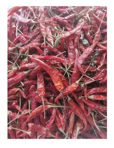 Wholesales 2024 top quality Tianying dried red chilli hot spices dried chilli food seasonings dried chilli pepper with low price