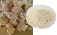 Premium Kräuterextrakt Boswellia Serrata 30% AKBA HPLC Standardisiertes Pulver in Fassverpackung Lebensmittelqualität