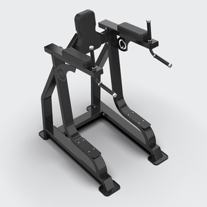 Máquina de Gimnasio Comercial de Metal QLI LEG RAISE and DIP QLRD065 con Función de Crunch, Alta Calidad, Envío Inmediato desde Vietnam - Product Image 3