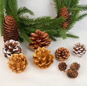 Vente en gros de pommes de pin naturelles, décoration de Noël, ornement suspendu, tour de pin, boule de pommes de pin, fleurs séchées faites à la main - Product Image 3