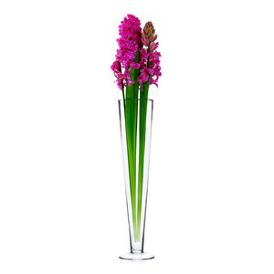 VTV0524 - Florero de Vidrio Tipo Pilsner Ancho - 24 - Product Image 6