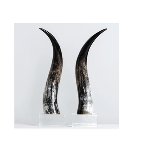 Soporte de Metal de Cuerno de Búfalo Recién Elaborado, Decoración de Mesa, Artesanía Natural Moderna y Ecológica, Decoración de Interiores para Sala de Estar, el Mejor Regalo - Product Image 4