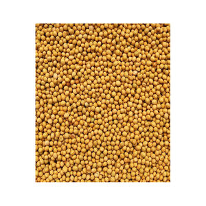 Wholesale <b>soybeans</b> available for sale with reliable supply chain and logistics support - Product Image 5