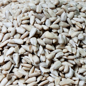 Semillas de Girasol Secas Crudas de Primera Calidad, Snack Natural Rico en Nutrientes, Grado Panadería, Larga Vida Útil, a la Venta - Product Image 1