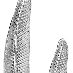 Ensemble de sculptures de feuilles de palmier hautes en aluminium plaqué argent, art déco moderne, antique, poli, décoration d'intérieur - Product Image 4