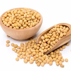 High Protein Soybean / Soya Beans, Soybean Seeds and dried Soyabean 25kgs & 50kgs bags