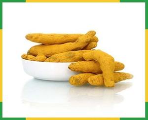 ข้อนิ้วขมิ้น RAUTIMPEX INTERNATIONAL สำหรับการเกษตร คุณภาพสูง ธรรมชาติ แห้ง จัดเก็บได้ 24 เดือน - Product Image 2