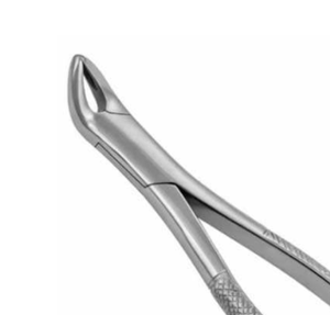 Fórceps de extracción de dientes dentales para adultos Fuente de alimentación manual certificada CE de acero inoxidable - Product Image 3