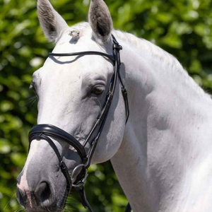 Bridon de cheval en cuir robuste 2026 avec design de selle anglaise, parfait pour l'équitation en plein air, équipement équestre, bridon de cheval - Product Image 1