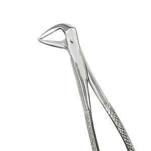 Pince d'extraction inférieure Instruments dentaires en acier inoxydable Dent chirurgicale Retrait Chirurgie orale Instruments chirurgicaux dentaires - Product Image 2