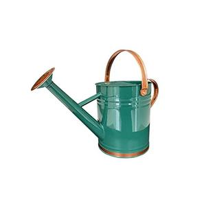 Arrosoir en métal artisanal de luxe pour jardin, arrosoir en métal de qualité durable avec finition noire pour la maison - Product Image 3