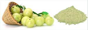 Poudre d'Amla de produit d'herbes indiennes de la meilleure qualité Poudre de fruit pure pour le fabricant et l'exportateur en gros - Product Image 4