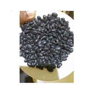 Haricot noir Haricots noirs Haricot rouge foncé séché à vendre - Product Image 5