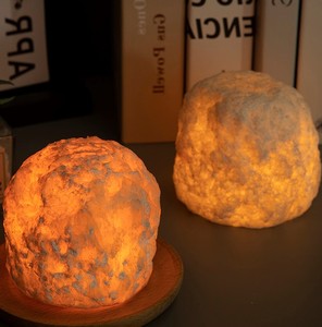 Usine nouvelle veilleuse en cristal de l'Himalaya personnalisée coquillage sculpté décor à la maison avec des briques de sel naturel de style amour et animal - Product Image 3