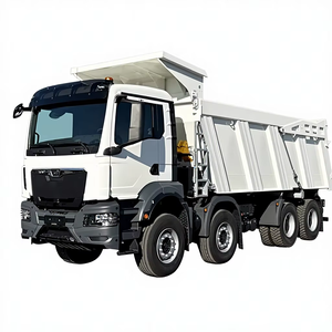 Nuevo Camión Volquete Pesado TGS 41.400 BB 8x4 Euro 5 con Motor Diésel de 451-500HP, Cámara Trasera 360, Dirección Izquierda y Capacidad de 31-40T - Product Image 1