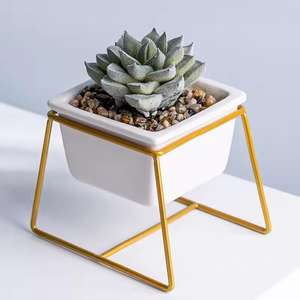 Fabricación de macetas de dolomita blanca con soporte de metal y plantas suculentas para macetas - Product Image 3