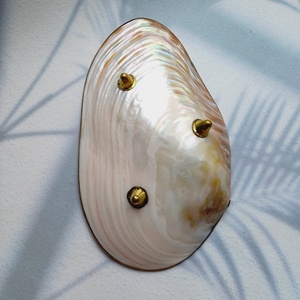 Plato de Caviar de perlas naturales, bandeja dorada con borde grande y ecológica, de lujo, hecha a mano, para Hotel y restaurante - Product Image 5