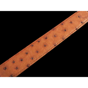 Cinturones de Plumas de Avestruz Completas - Marrón Sienna/Cognac/Negro/Cereza Negra 30-44 Pulgadas - Product Image 3