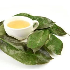 Hojas de guanábana secas (100% puras) que añaden un aroma natural para el cuidado de la salud - Product Image 1