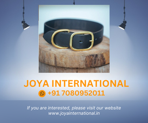 Conjunto de Collar y correa para perro, 32mm de ancho, negro - Product Image 2