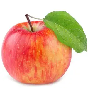 새로운 시즌 갈라 애플 레드 스타 애플 갈라 애플 레드 후지 과일