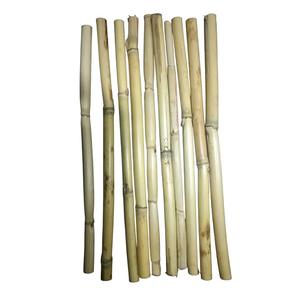 Pajitas de caña de bambú reutilizables al mejor precio, saludables y respetuosas con el medio ambiente - Product Image 6