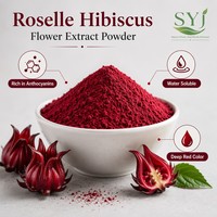 Poudre de thé instantané à l'hibiscus de qualité alimentaire, extrait naturel de fleur de roselle pour l'utilisation dans les aliments et les boissons