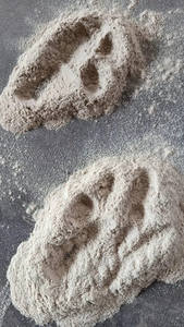 Polvo de Bagazo de Caña de Azúcar y Polvo de Fibra de Caña de Azúcar de Alta Calidad para Alimentación Animal en Vietnam - Product Image 3