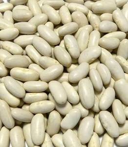 Haricots Blancs Séchés Naturels Riches en Protéines Légumineuses Nutritives Aliment Sain Qualité Exportation Grains pour Vente en Gros et Approvisionnement en Vrac - Product Image 4