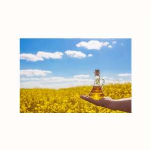 Aceite de Canola Puro Refinado, Aceite Saludable para Cocinar, Empaque a Granel para Hoteles, Restaurantes e Industria Alimentaria - Product Image 5