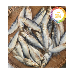 Le meilleur vendeur 100% hareng séché naturel-Fruits de mer vietnamiens de qualité supérieure au meilleur prix - Product Image 1