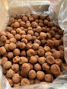 LYCHEE SÉCHÉ DE HAUTE QUALITÉ SANS ADDITIFS OEM DISPONIBLE - Product Image 5