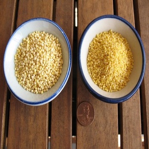 Millet en gros Xiaomi, nouvelle récolte, millet en vrac, millet jaune de haute qualité, millet pour la vente en gros, grain de millet biologique - Product Image 1