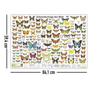 Affiche mondiale des papillons en allemand format DIN A1 pour décoration murale - Product Image 2