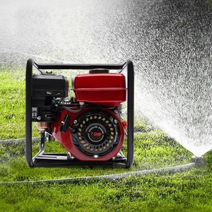 ปั๊มน้ำประสิทธิภาพสูงสำหรับระบายน้ำในสระว่ายน้ำและระบบชลประทาน ปั๊มไฟฟ้ากระแสสลับแรงดันสูงสำหรับที่อยู่อาศัย - Product Image 6