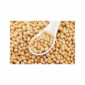 Harina de soja de calidad brasileña al por mayor, judías proteicas frescas para alimentación animal, directo de fabricantes - Product Image 1