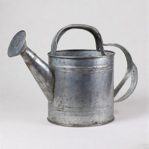 บัวรดน้ำโลหะกัลวาไนซ์สไตล์วินเทจพร้อมพวยยาวและสวนสวยแบบชนบทสำหรับใช้ในร่มและกลางแจ้ง - Product Image 2