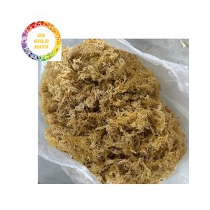 Eucheuma Cottonii de musgo de mar secado al sol de calidad superior de Vietnam para uso de bebidas y cuidado de la piel - Product Image 3