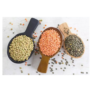 High Quality Crimson Lentilles / Green <b>Lentils</b> / Red <b>Lentils</b>(Red, Green, Black and White) - Product Image 2