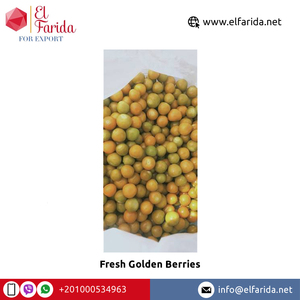 Bayas doradas altamente nutritivas frescas y dulces de Egipto Venta caliente por proveedor de origen - Product Image 5