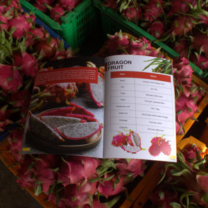 Fruta de dragón de Vietnam de alta calidad, carne blanca, sabor dulce, fruta tropical de Binh Thuan, embalaje certificado para exportación - Product Image 1