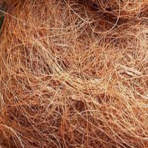 Fibra de coco de calidad de exportación fibra de coco procesada limpia fuerte perfecta para compradores mayoristas e industriales globales - Product Image 4