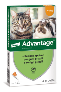 Antiparassitario Advantage per Gatti e Conigli Inferiori a Kg. 4 (4 Pipette) - Product Image 1