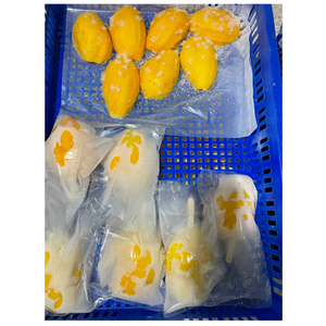 Mangue congelée du Vietnam au goût propre et à la texture douce, exportée dans des sacs ou des cartons en polyéthylène pour une distribution mondiale - Product Image 1