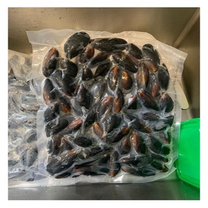 Proveedor de Mariscos Congelados al Por Mayor al Precio Más Bajo, Mejillones Congelados con Concha / Carne de Mejillón Congelada con Concha, Entrega Rápida - Product Image 1