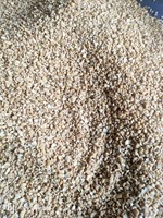 Goedkope Bulk Gemaakt In Vietnam-Producten Anacardiumnoot Sp Lp Ws Lwp Witte Mundhiri Rauwe Nootsnacks Gedroogde Cashewnoten