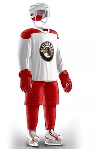 Uniformes profesionales de hockey sobre hielo, uniforme de alta calidad con precio de fábrica para equipos - Product Image 3