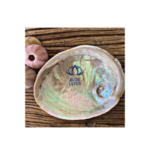 เปลือกหอยเป๋าฮื้อขัดเงาธรรมชาติปริมาณมากให้เลือก - Product Image 1